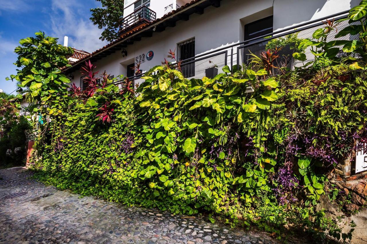 Hotel 522, Puerto Vallarta Ngoại thất bức ảnh